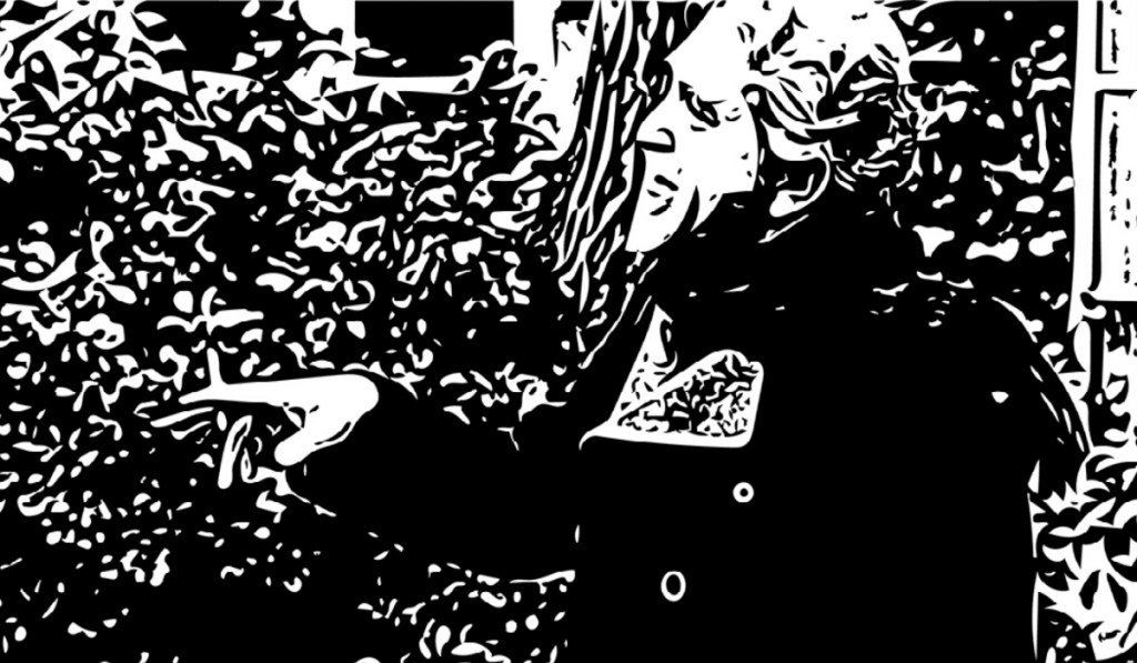 داریوش شایگان از منظری دیگر – محمود&nbsp;طوقی