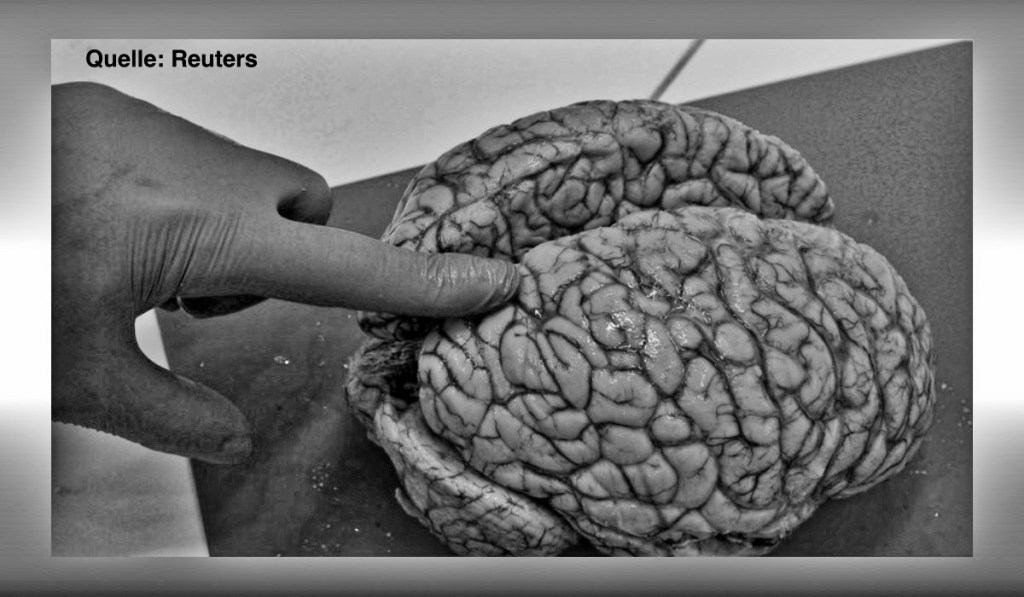 مخالفان ترامپ در امریکا استراتژی او را درک نمی کنند –  دیانا جانستون  – رضا&nbsp;نافعی