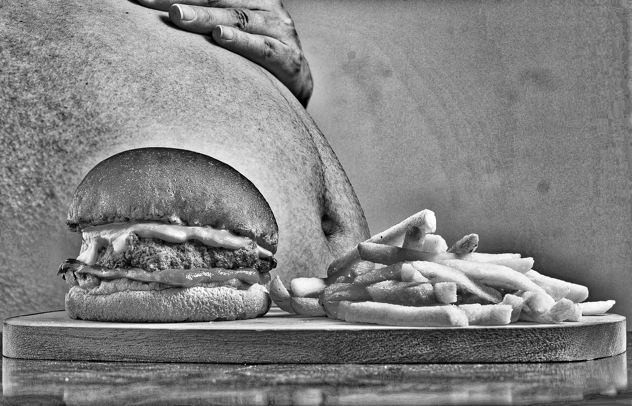 hamburger-2683042_1280