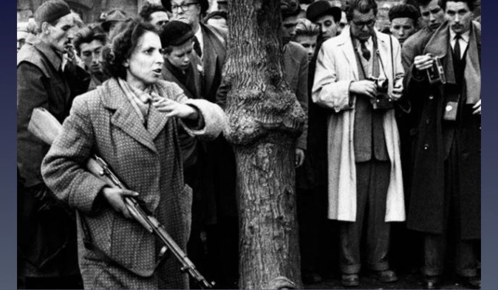 شورش مجارستان سوسیالیستی را آمریکایی‌ها در سال ١۹۴۸ طراحی کردند. – ولادیسلاو گول‌اویچ – ا. م.&nbsp;شیری