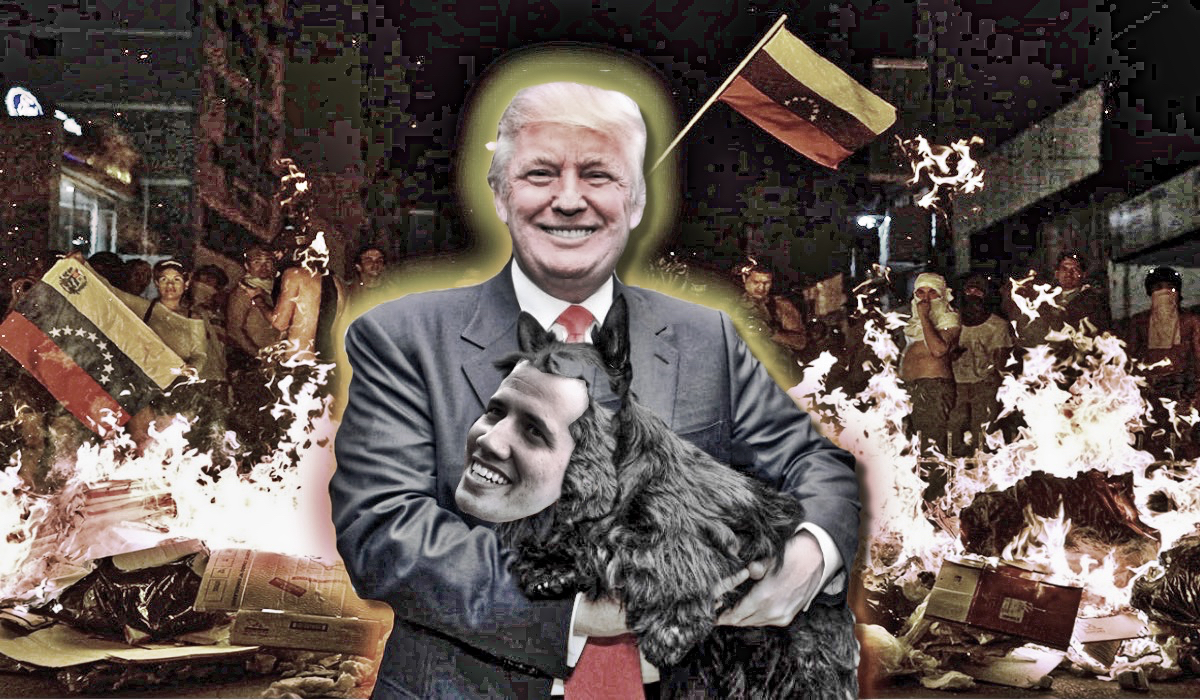 usa_dog_venezuela_col1