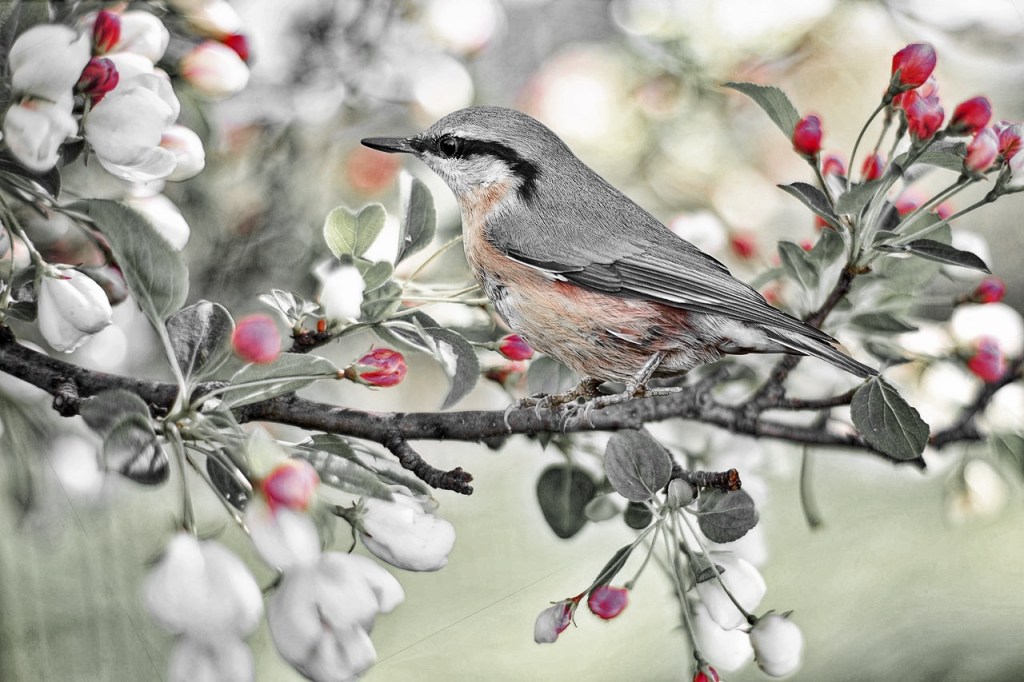 بهار – ارشد نظری – مسعود&nbsp;دلیجانی