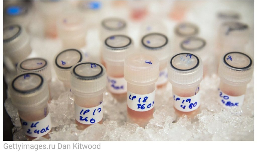 &laquo;این یک نسل کشی است&raquo;: بیماران سرطانی روسی محکوم به&nbsp;مرگ!