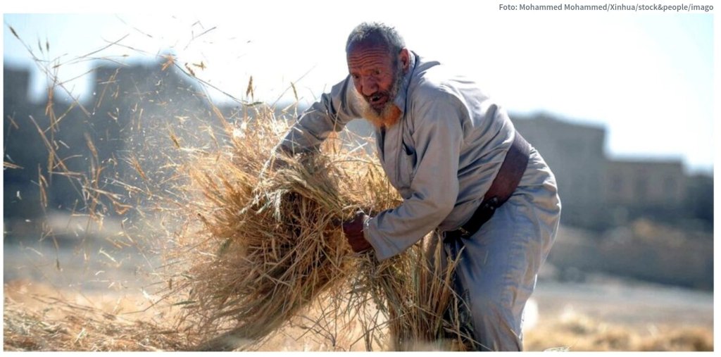 حرفش را سبزهای آلمان میزنند، عملش را انصارالله یمن&nbsp;میکند!