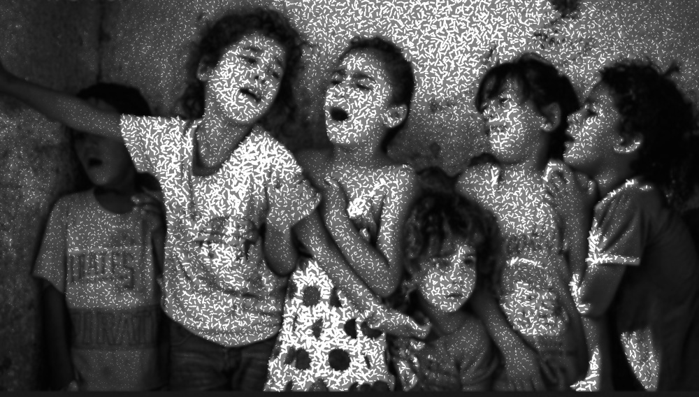 در سوگ غزّویان – ا. م.&nbsp;شیری