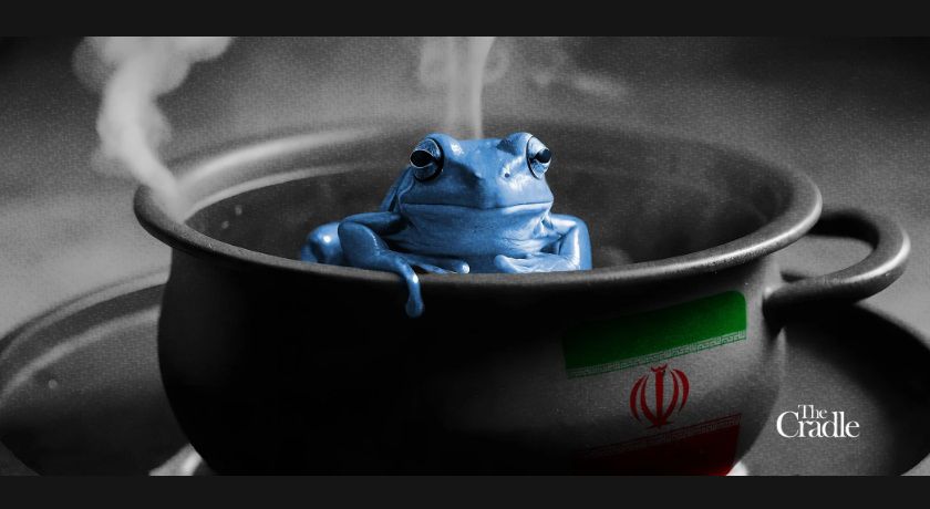 چگونه ایرانی ها قورباغه را می‌پزند؟  آهسته و روشمند.
